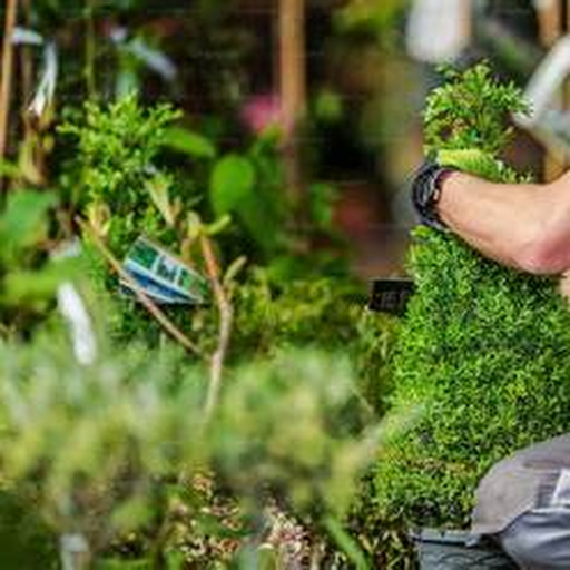 Gartenbau als Beispiel
